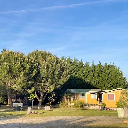 Cosy Avec Piscine A Horská chata Chazemais